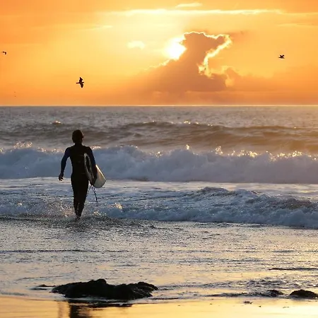 Sunset Daire *